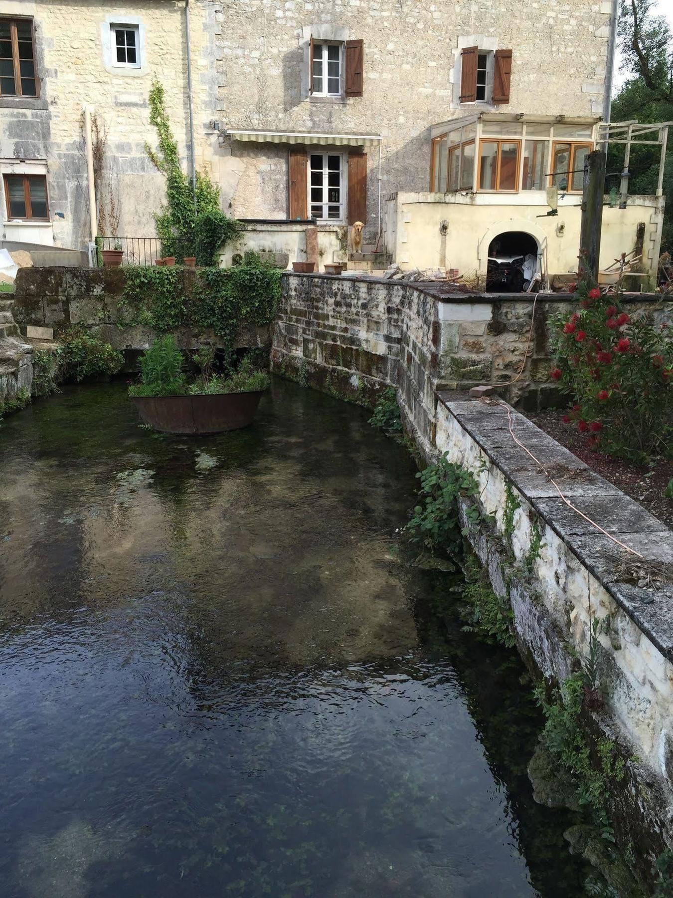 Petit Moulin De Veillard Villa Bourg-Charente Dış mekan fotoğraf